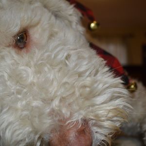 Meet your Posher, Abigaël